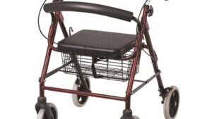 Poylin P580 Ekonomik Rollatör