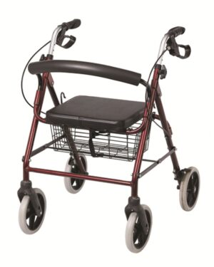 Poylin P580 Ekonomik Rollatör