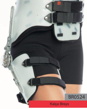 Kalça Breys br0524
