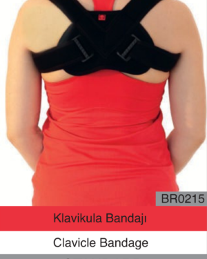 Klavikula Bandajı br0215 Standard